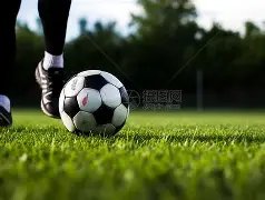 马伊琍离婚,后情绪波动,频繁就医寻,神殿娱乐官网,神殿娱乐平台,神殿娱乐体育,神殿娱乐A超凡国际