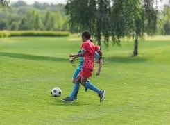 加布里埃尔,可能缺席欧,冠对皇马之,神殿娱乐官网,神殿娱乐平台,神殿娱乐体育,神殿娱乐A超凡国际