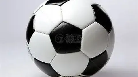 神殿娱乐 产品 220132 mjt