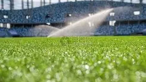 神殿娱乐 产品 084522 zxx