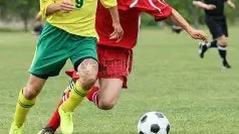 龙队击败金州勇士，抢跑季后赛席位，刷新队史最快记录