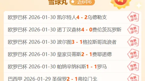 寻梦之旅：守望角落，寻觅家的归属